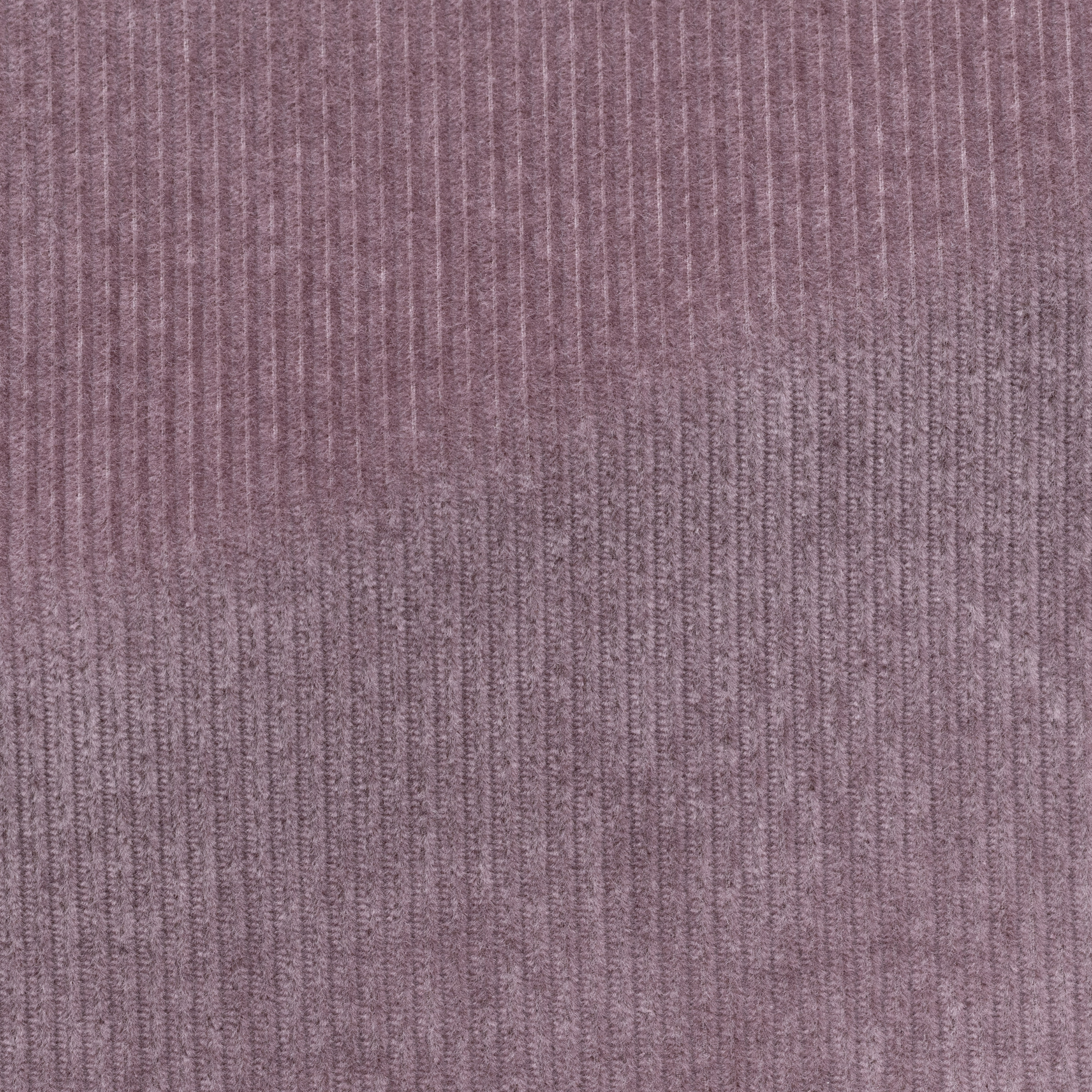 Anzug in mauve Cord aus Baumwolle und Stretch